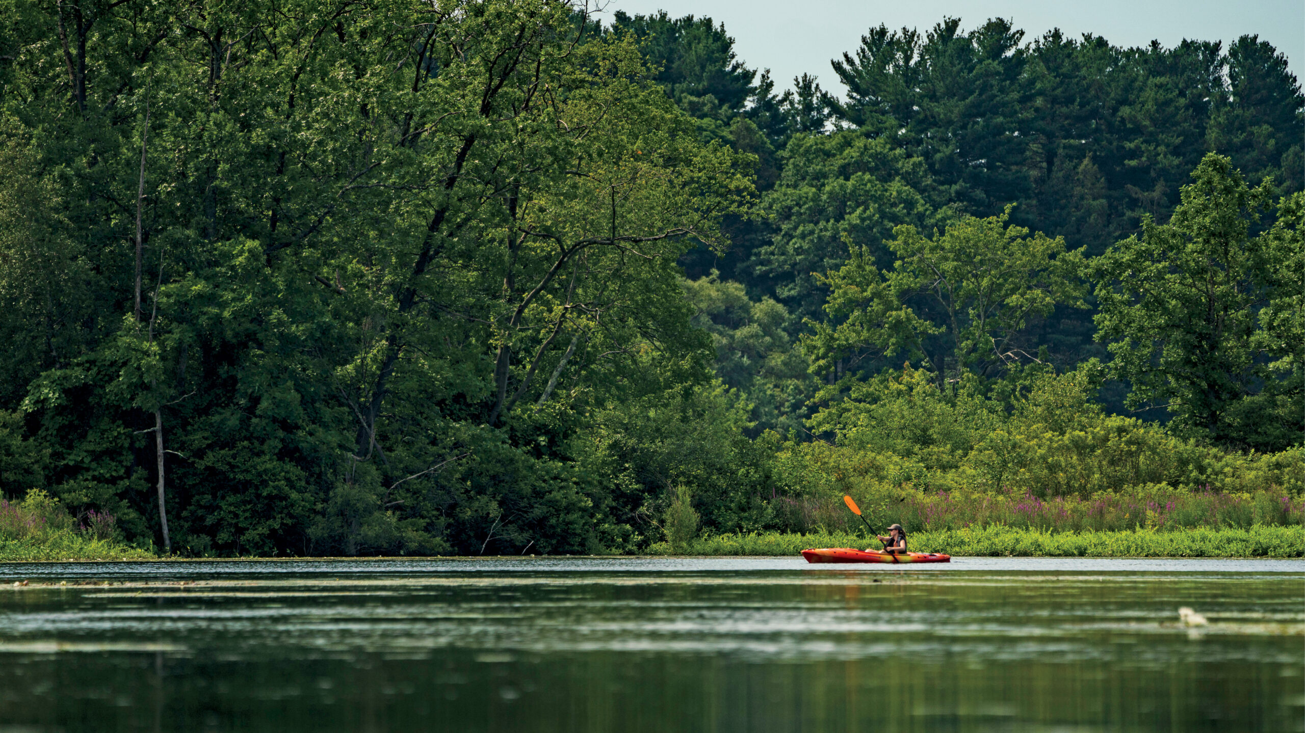 Landscape of Charles River in Massachusetts