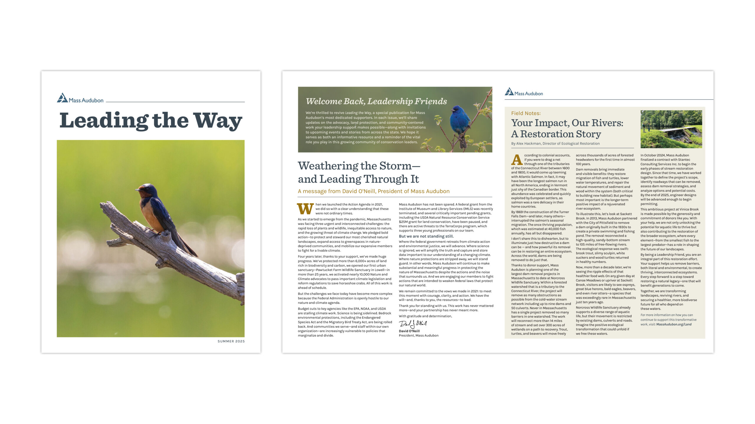Layout for Mass Audubon Stewardship Newsletter