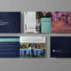 A new look to an annual appeal | BCG Connect Client | Creative Marketing for Fundraisers