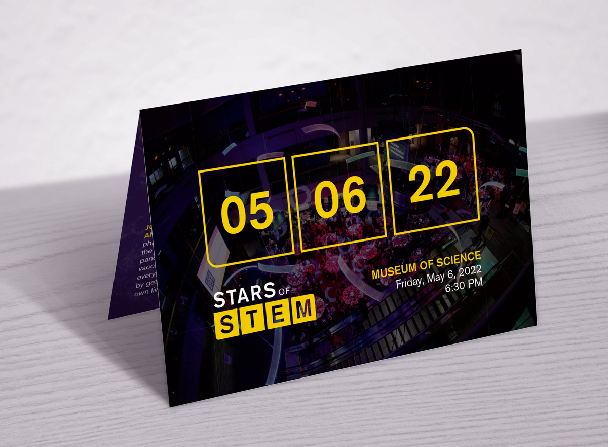 Branding and Design for Galas and Events | BCG Connect Client | Creative Marketing for Fundraisers